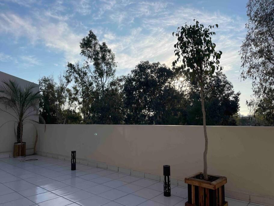 Otay Studio Great Patio Near Otay Crossing & Airport Tijuana Dış mekan fotoğraf